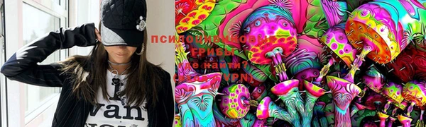 молекула духа Абинск