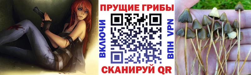 мориарти как зайти  где купить наркотик  Белоусово  Галлюциногенные грибы ЛСД 
